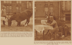 873701 Collage van 2 foto's betreffende wachtmeester De Noo met zijn gedresseerde paard Martha, bij de kazerne van de ...